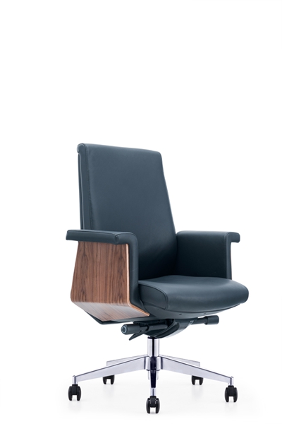 皮椅子CH-250B 皮椅子CH-250B